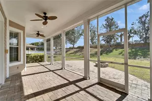 410 Manns Harbor Dr, Apollo Beach, FL 33572 - Photo 61