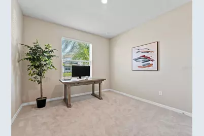 33700 Hamilton Hill Lane, Wesley Chapel, FL 33545 - Photo 17