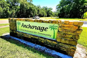 835 Anchorage Ln, Palm Harbor, FL 34685 - Photo 51