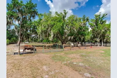 9819 Allen Road, Lithia, FL 33547 - Photo 51