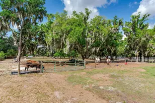 9819 Allen Rd, Lithia, FL 33547 - Photo 51