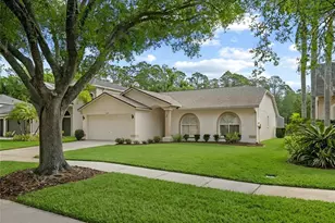 13010 Royal George Ave, Odessa, FL 33556 - Photo 25