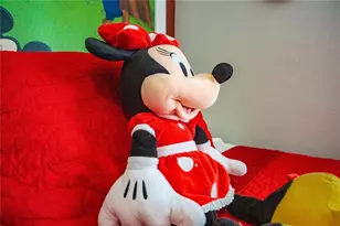 3231 Cupid Pl Pl, Kissimmee, FL 34747 - Photo 33