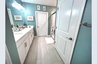 16964 Forge Surf Street, Land O Lakes, FL 34638 - Photo 23