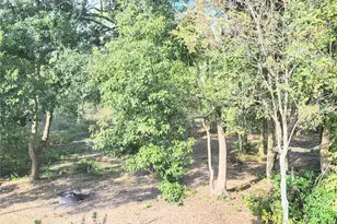 36142 Laguna Hills Cir, Zephyrhills, FL 33541 - Photo 25