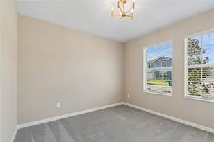 10065 Gentle Rain Dr, Land O Lakes, FL 34638 - Photo 23