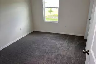 3379 Suncoast Plains Dr, Odessa, FL 33556 - Photo 39