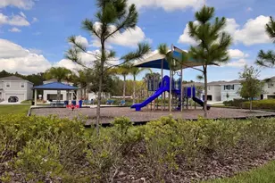 3379 Suncoast Plains Dr, Odessa, FL 33556 - Photo 5