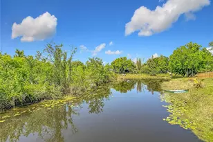 2445 Glenview Dr, Land O Lakes, FL 34639 - Photo 65