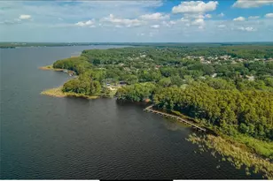 4052 Capitol Dr, Palm Harbor, FL 34685 - Photo 91