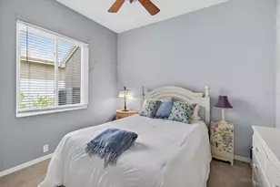 4052 Capitol Dr, Palm Harbor, FL 34685 - Photo 45