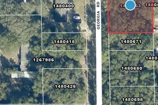 000 Georgia Rd, Altoona, FL 32702 - Photo 1