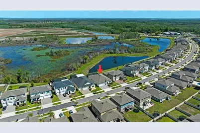 8934 Little Bluestem Drive, Land O Lakes, FL 34637 - Photo 55