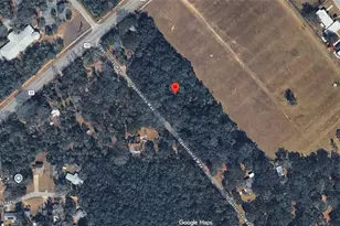 36520-36522-36526 County Road 52, Dade City, FL 33525 - Photo 5