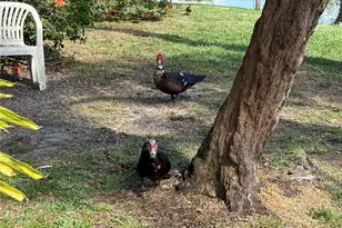 870 Village Lake Terrace N, Saint Petersburg, FL 33716 - Photo 23