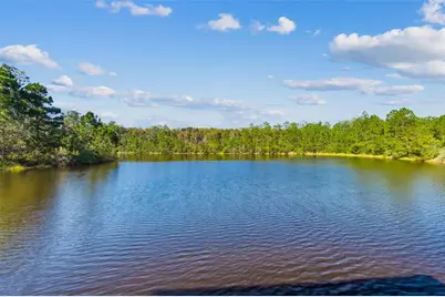 19110 Sunset Bay Drive, Land O Lakes, FL 34638 - Photo 97