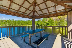 19110 Sunset Bay Dr, Land O Lakes, FL 34638 - Photo 79