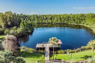 19110 Sunset Bay Dr, Land O Lakes, FL 34638 - Photo 95
