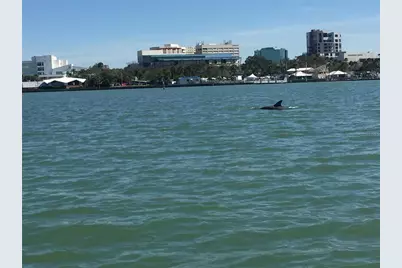 828 Padua Lane, Clearwater, FL 33756 - Photo 33