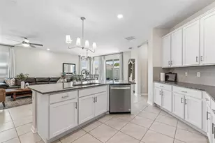 20121 Azul Marble Loop, Land O Lakes, FL 34638 - Photo 39