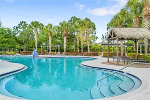 11814 Cross Vine Dr, Riverview, FL 33579 - Photo 71