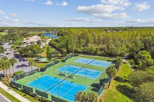 20904 Tangor Rd, Land O Lakes, FL 34637 - Photo 77