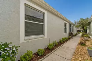 20904 Tangor Rd, Land O Lakes, FL 34637 - Photo 7