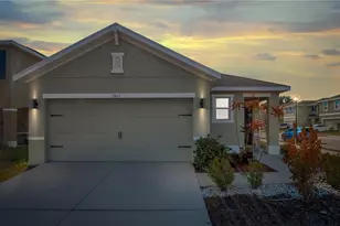 3503 Diamond Leaf Ct, Valrico, FL 33594 - Photo 1