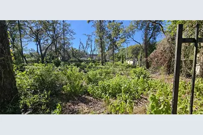 Piermaj Lane, Lutz, FL 33549 - Photo 9