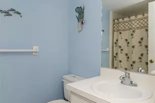 207 Cypress Ln, Oldsmar, FL 34677 - Photo 11