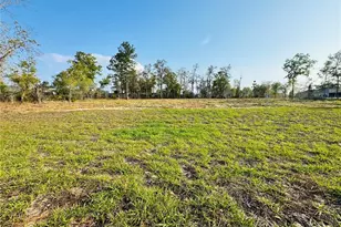 11380 Old Squaw Ave, Weeki Wachee, FL 34614 - Photo 19