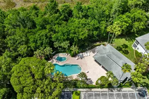 1715 Hammocks Ave, Lutz, FL 33549 - Photo 49
