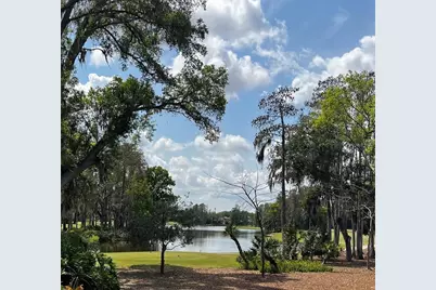 16912 Villalagos De Avila, Lutz, FL 33548 - Photo 3