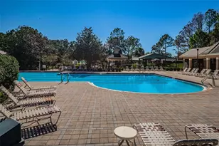 5721 Heronpark Pl, Lithia, FL 33547 - Photo 71