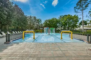 5721 Heronpark Pl, Lithia, FL 33547 - Photo 85