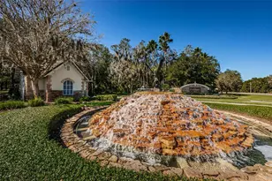 5721 Heronpark Pl, Lithia, FL 33547 - Photo 61