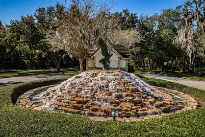 5721 Heronpark Place, Lithia, FL 33547 - Photo 63