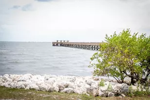 734 2nd St N, Safety Harbor, FL 34695 - Photo 25