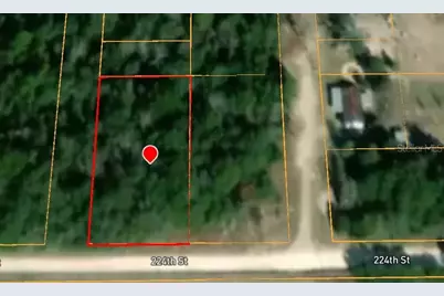 224 Th Street, O'Brien, FL 32071 - Photo 3