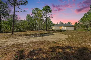 12276 Snow Goose Ave, Brooksville, FL 34614 - Photo 3