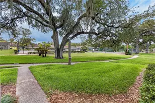 7933 Pine Dr, Temple Terrace, FL 33637 - Photo 37
