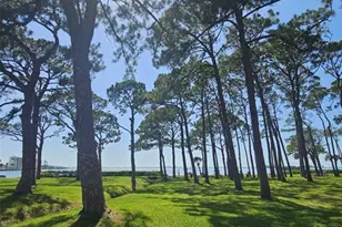 2700 Bayshore Blvd, Dunedin, FL 34698 - Photo 29
