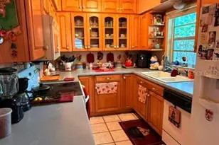 1111 Bristolwood St, Brandon, FL 33510 - Photo 9