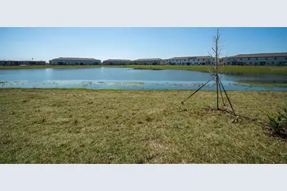 32134 Powderpuff Mimosa Drive, San Antonio, FL 33576 - Photo 27