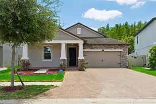 6233 English Hollow Rd, Tampa, FL 33647 - Photo 1