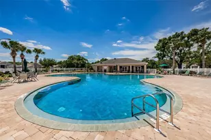 25841 Crippen Dr, Land O Lakes, FL 34639 - Photo 41