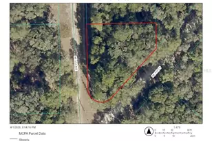 00000 NE 11th Ct, Fort Mc Coy, FL 32134 - Photo 1