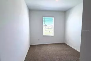 17260 English Chestnut Wy, Land O Lakes, FL 34638 - Photo 7