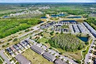 16930 Storyline Dr, Land O Lakes, FL 34638 - Photo 21