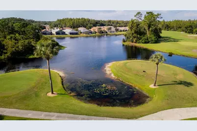 20941 Tangor Road, Land O Lakes, FL 34637 - Photo 3